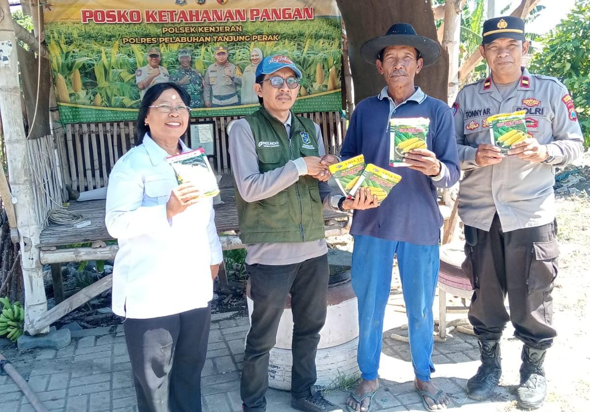 Dukung Asta Cita & Ketahanan Pangan, Polres Tanjung Perak Salurkan Bibit Jagung Manis ke Petani Tambak Wedi